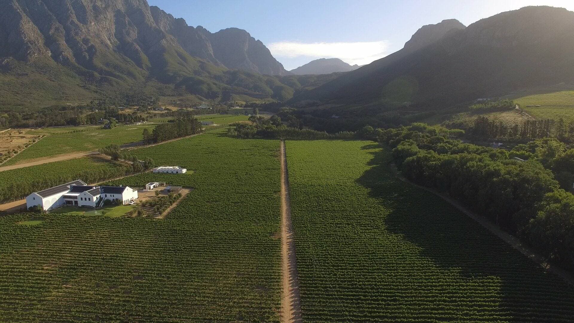 Holden Manz Wine Estate photo 3