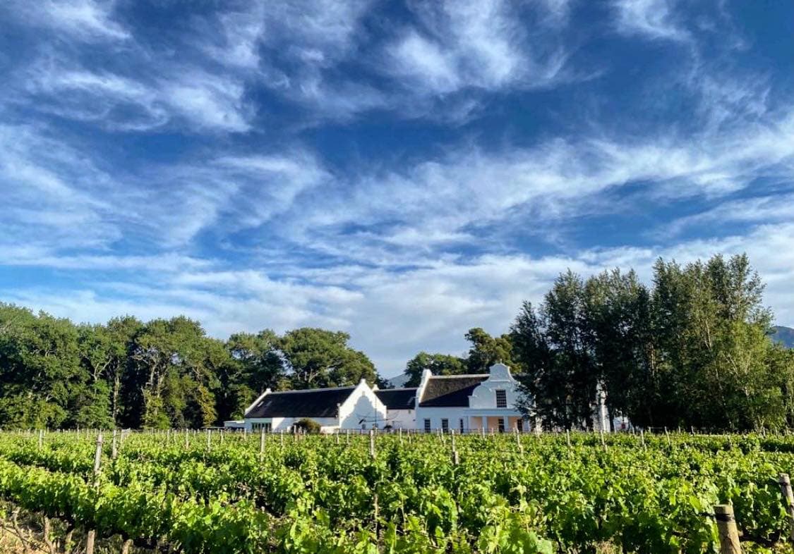 Holden Manz Wine Estate photo 1