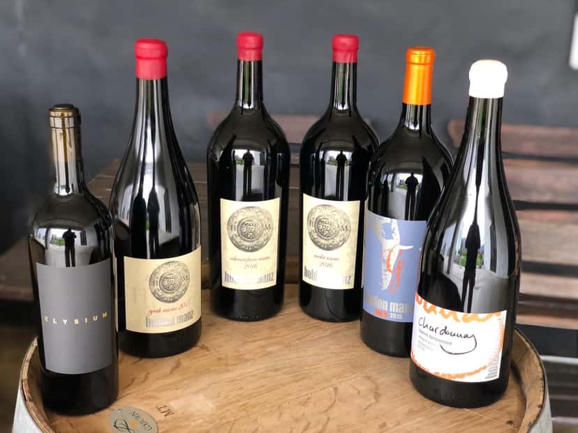 Degustazione di vini Platinum presso Holden Manz Wine Estate