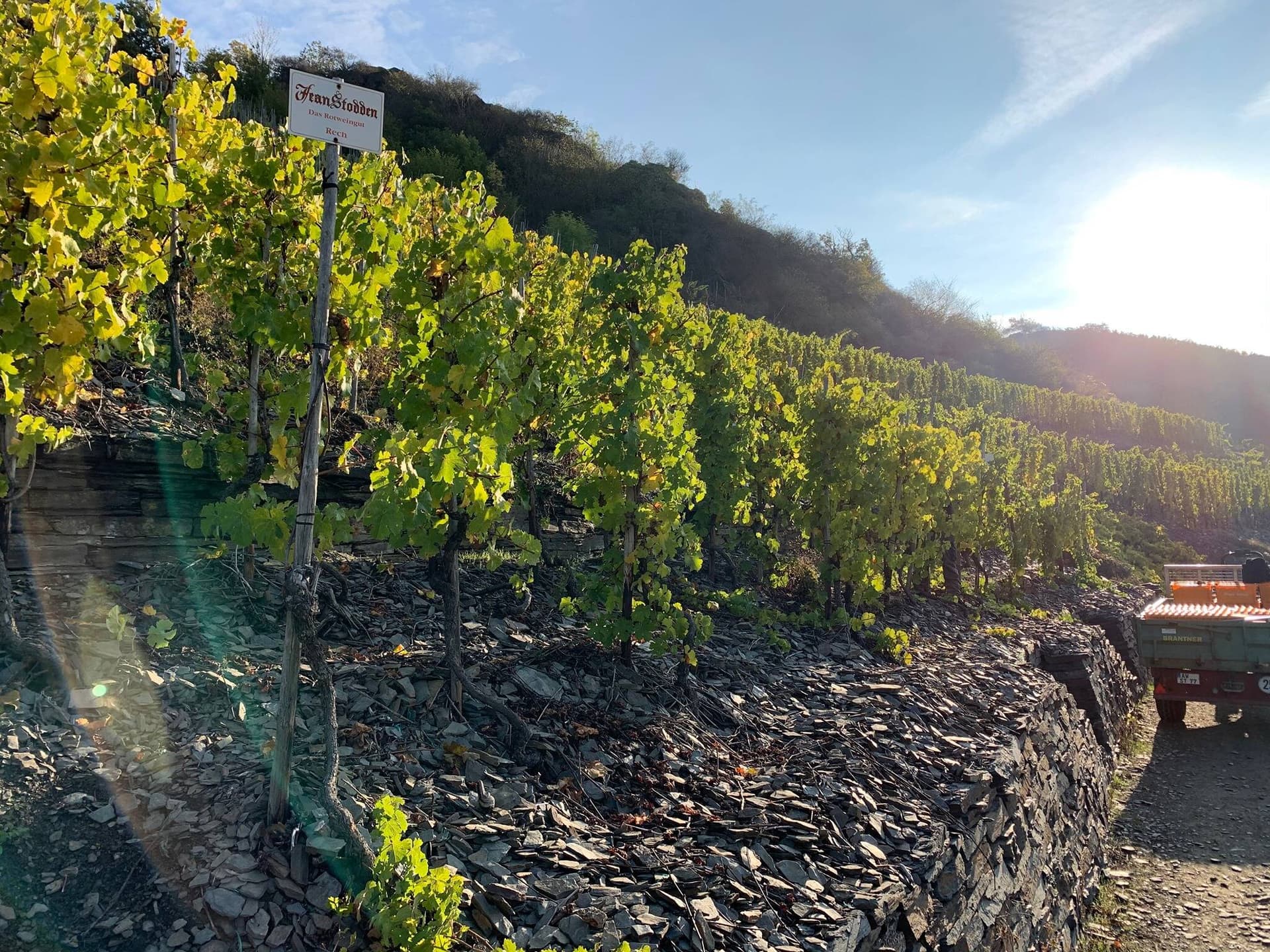 Jean Stodden Winery foto 4