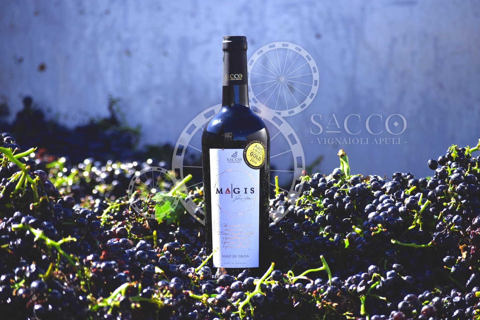 Zusätzliche Weinprobe und Tour bei Sacco Vignaioli Apuli