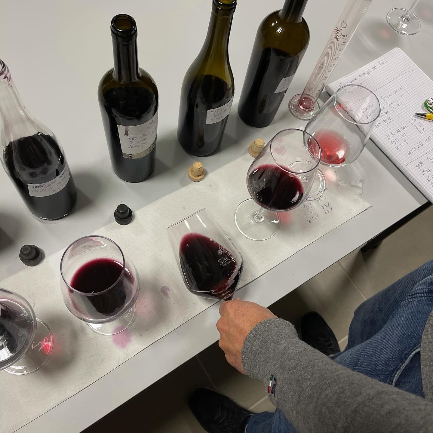 Klassische Weinprobe und Tour bei Sacco Vignaioli Apuli