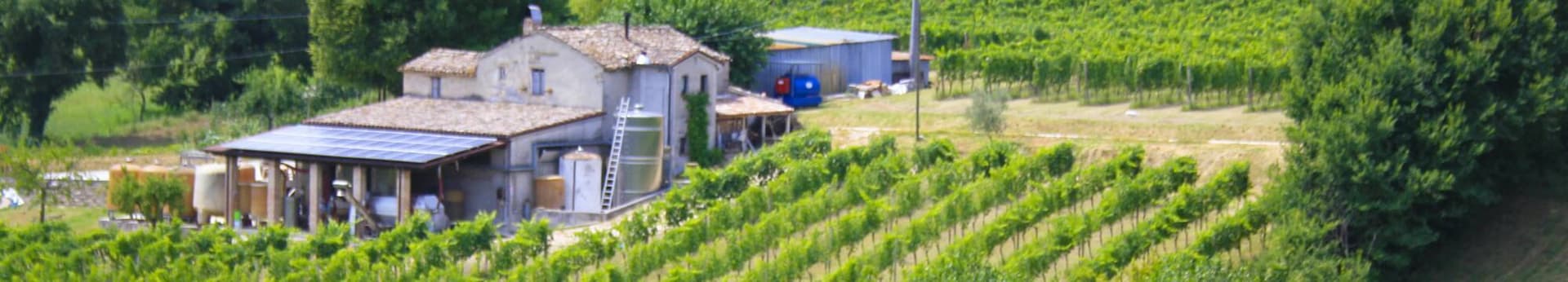Tenuta Dell'Ugolino Foto 3