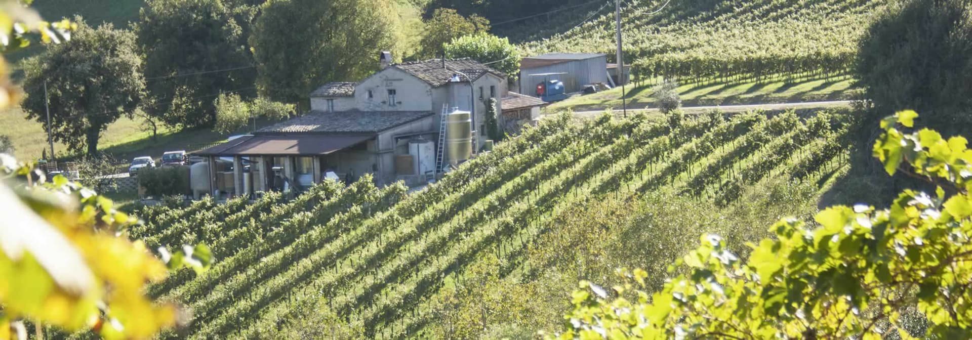 Tenuta Dell'Ugolino Foto 4