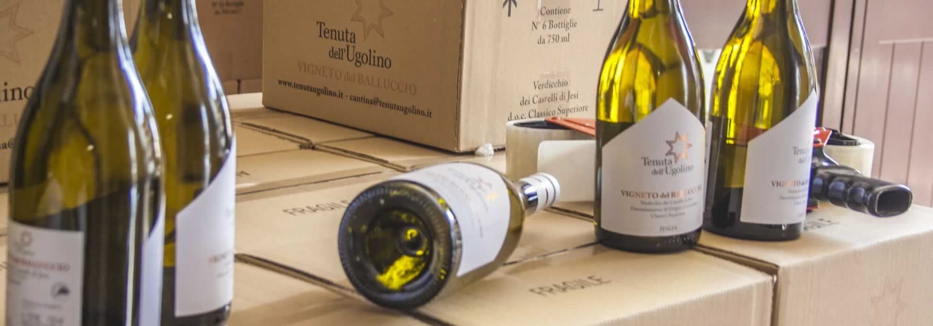 Verkostung und Besichtigung im Tenuta dell'Ugolino