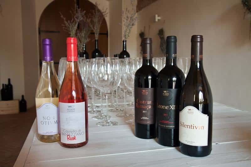 Premium vinprovning och rundtur på Tenuta Aliani