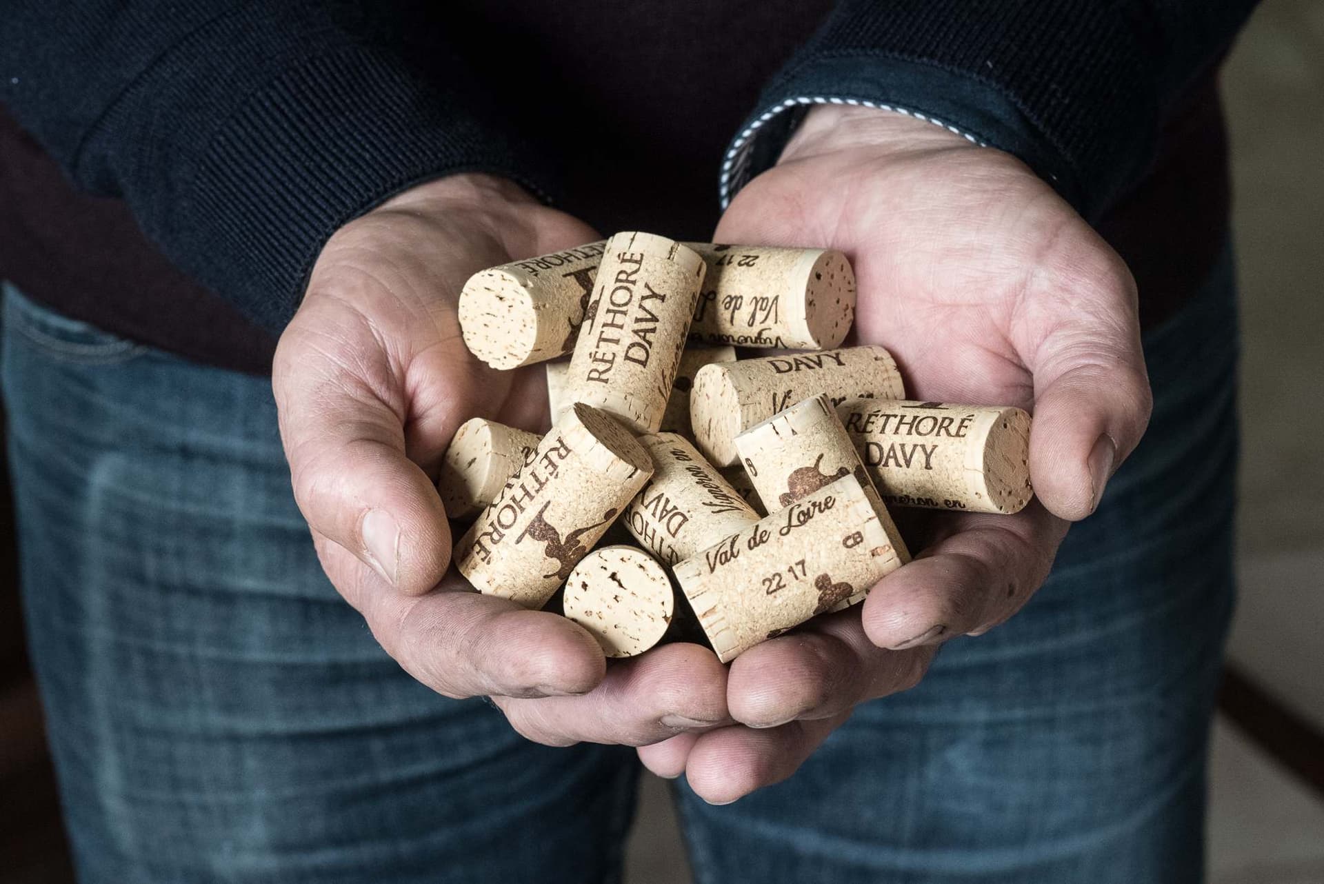 Degustação de Vinhos e Tour em Vignoble Réthoré Davy