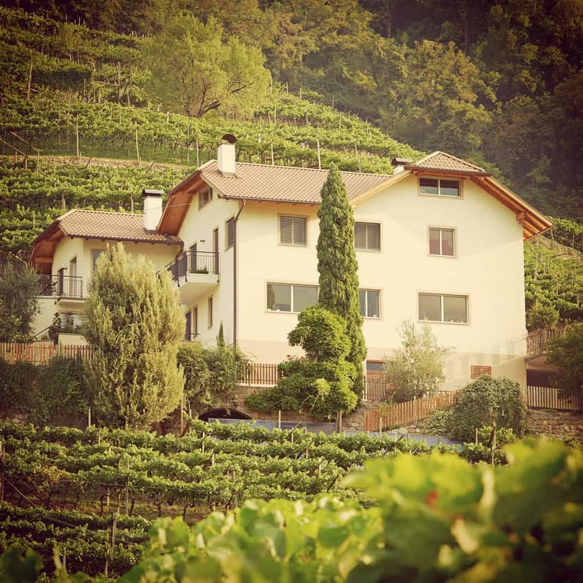 Weingut Obermoser - Thomas Rottensteiner