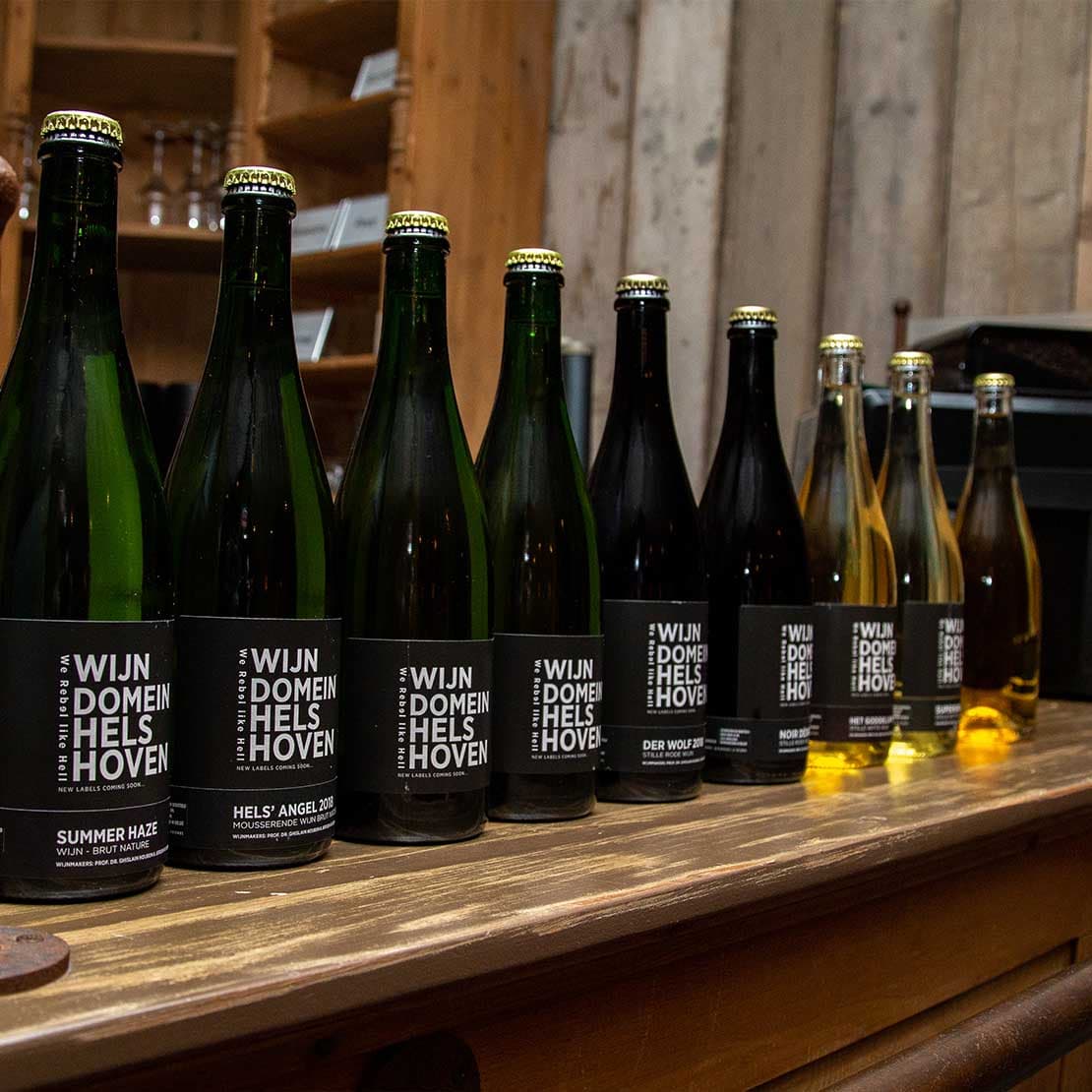 Degustação de vinhos e tour em Wijndomein Helshoven