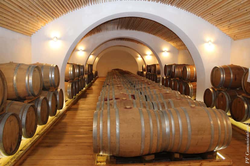 Degustação de Vinhos Premium na Azienda Agricola Serracavallo