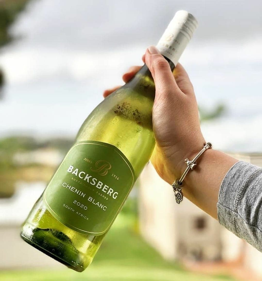 Experiencia de cata de vinos familiar en las bodegas de Backsberg Estate