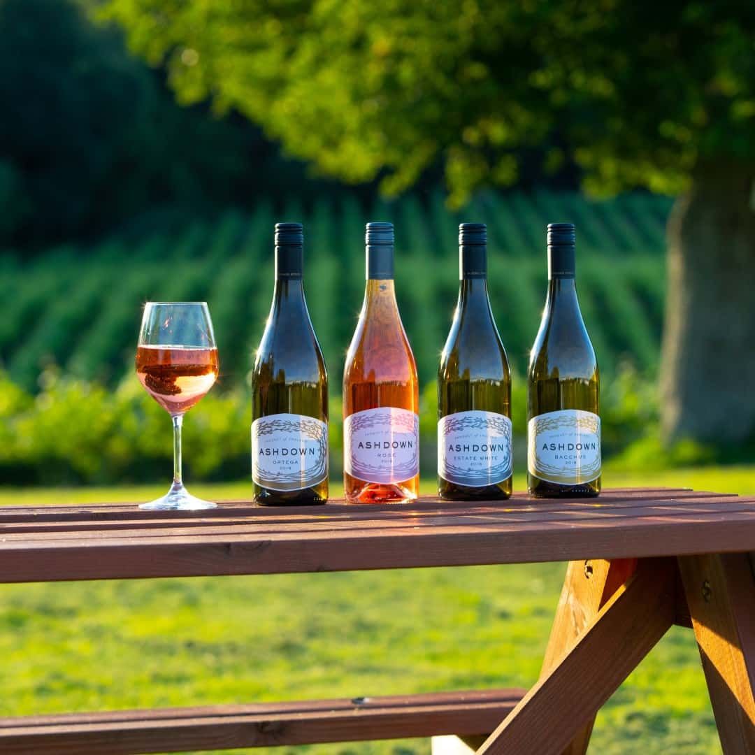Dégustation de vin au vignoble Bluebell