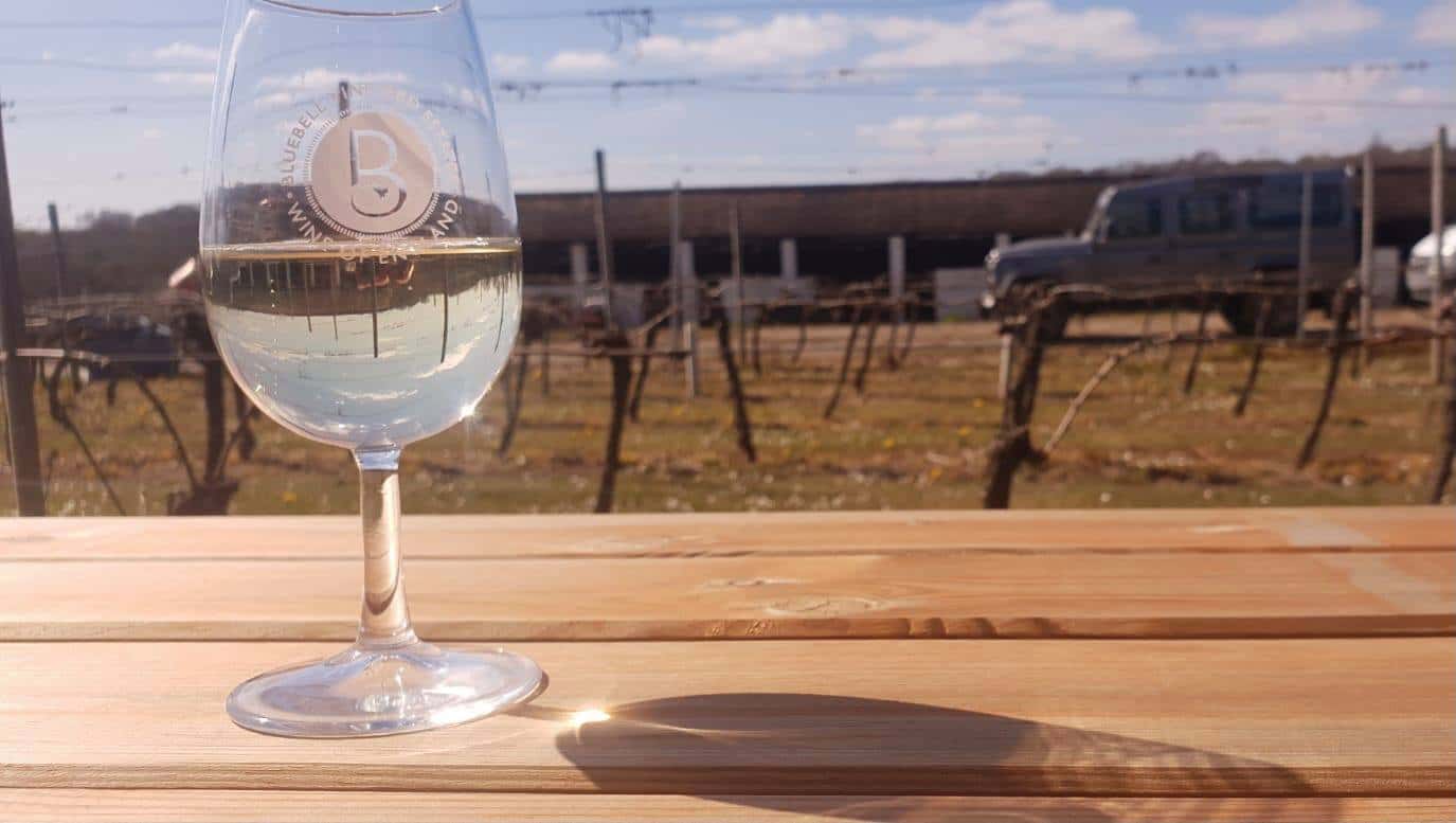 Wine Tasting and Tour at Bluebell Vineyard