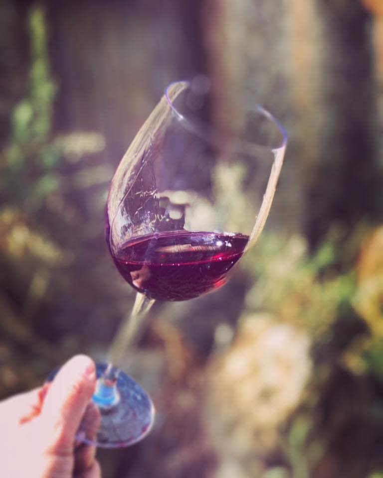 Weinprobe und Tour bei Bodegas Belote