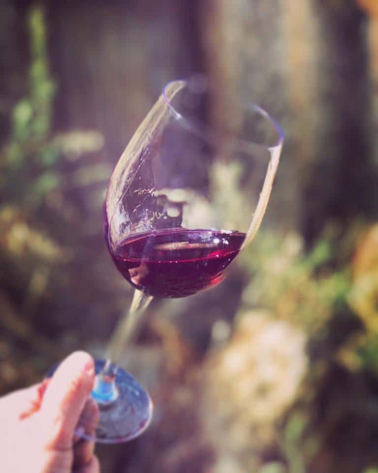 Castilla y León Cave-Aged Wine Tasting at Bodegas Belote