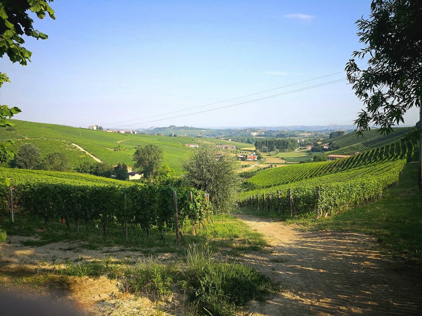 Cascina Carlòt foto 4