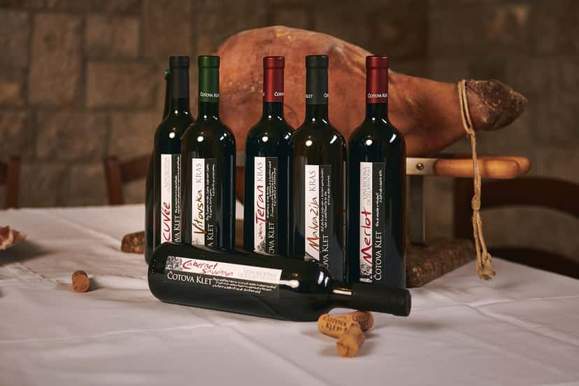 Degustação de vinhos e tour em Čotova Klet