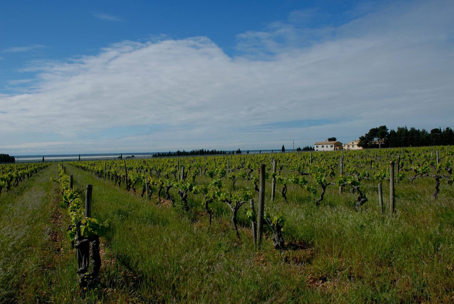 Domaine De Calet foto 3