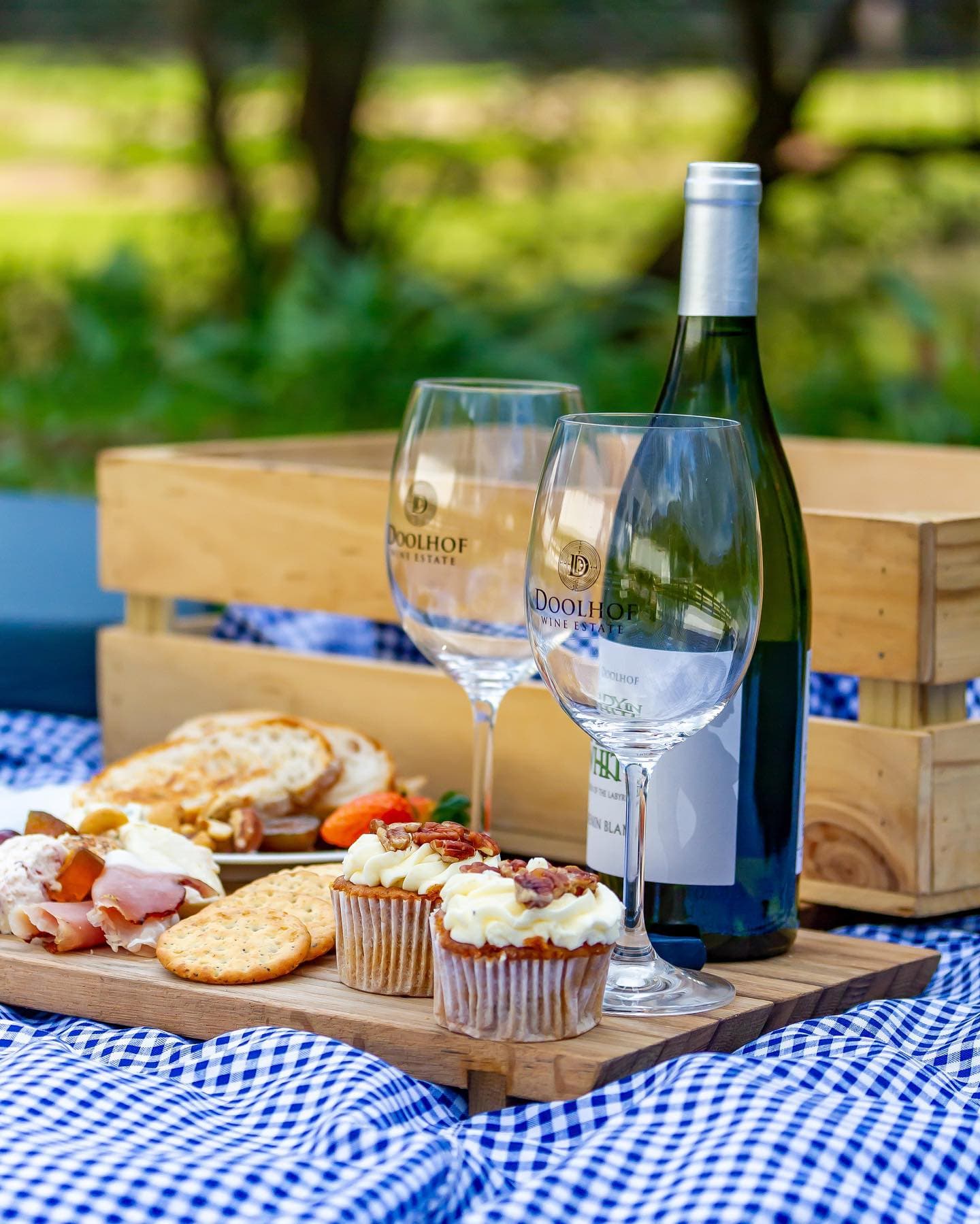 Coastal Region Wine Tasting at Scenic Doolhof Estate
