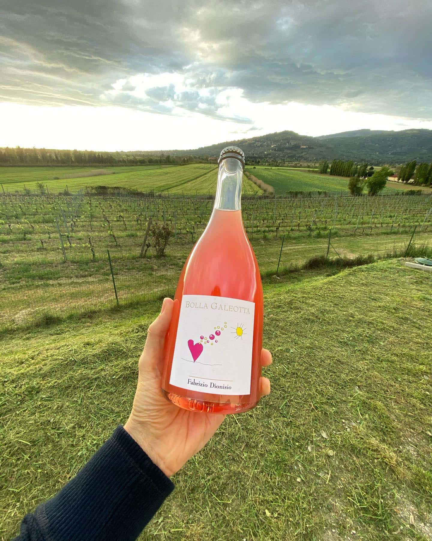 Degustazione e tour di vini da Fabrizio Dionisio