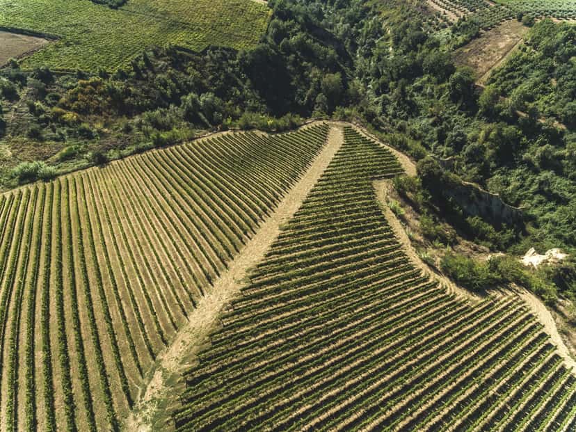 Fattoria Gaglierano