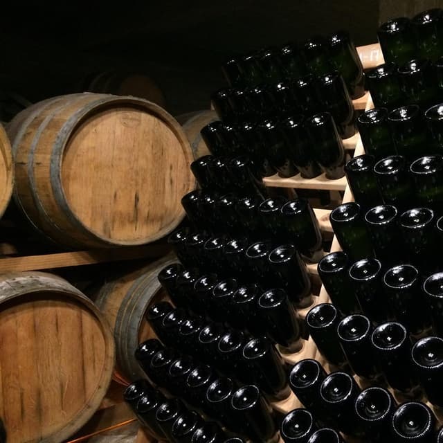 H. Stagnari Winery