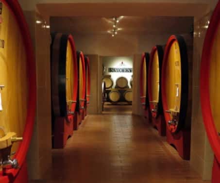 Wine Tasting and Winery Tour at Azienda Agricola Innocenti