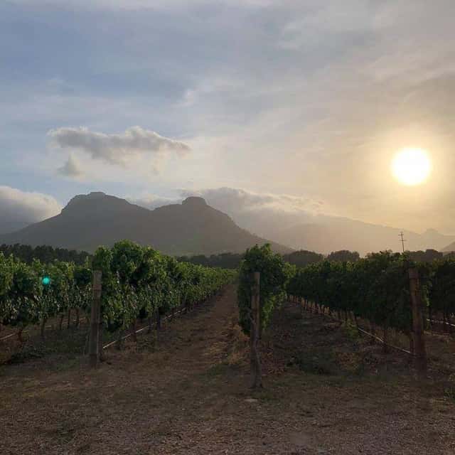 La Bri Wine Estate