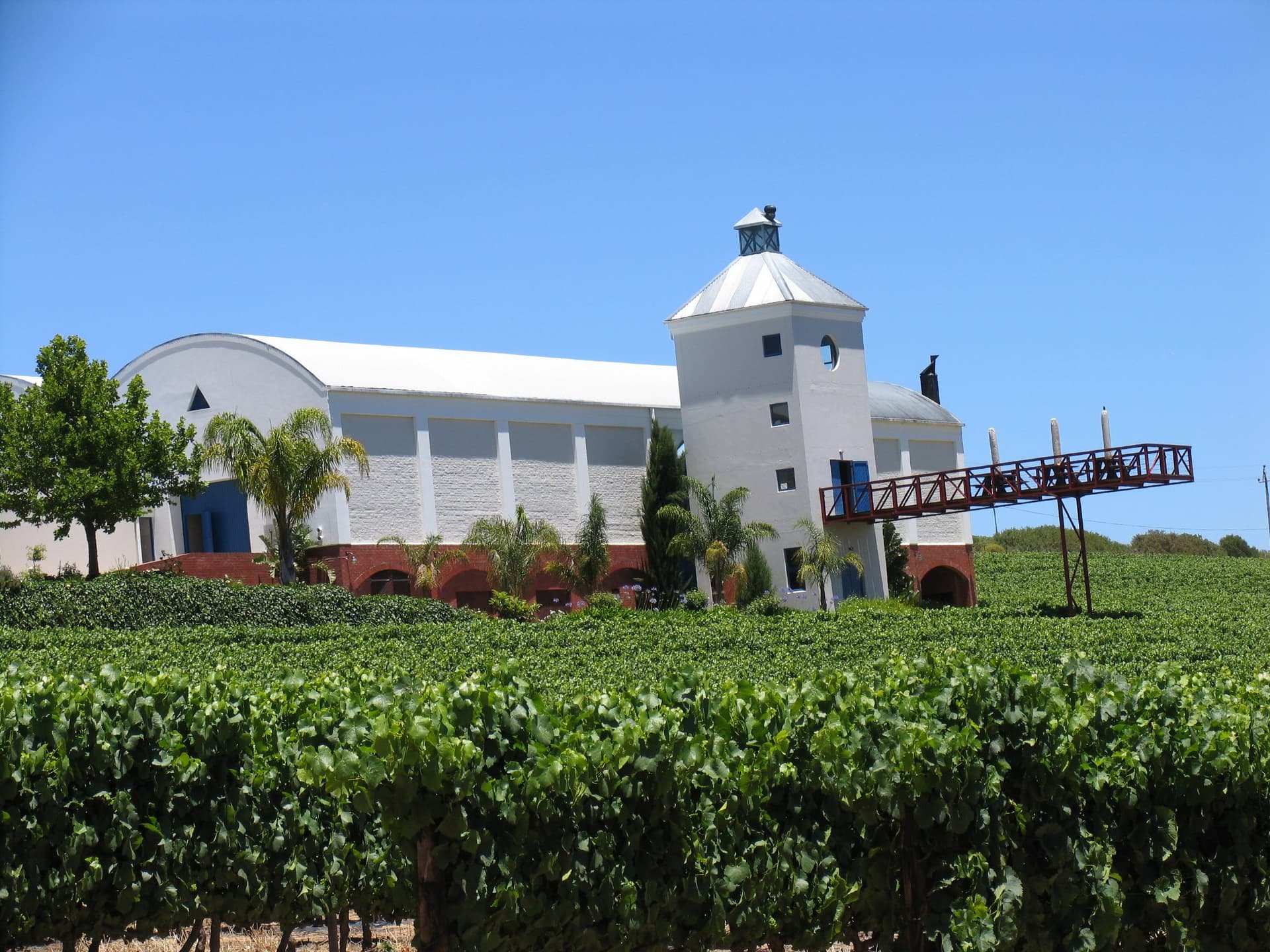 Ladybird Vineyards foto 1