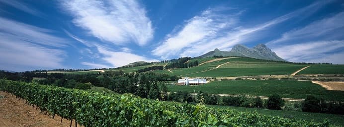 Coastal Region Wine & Stay at Ladybird Vineyards