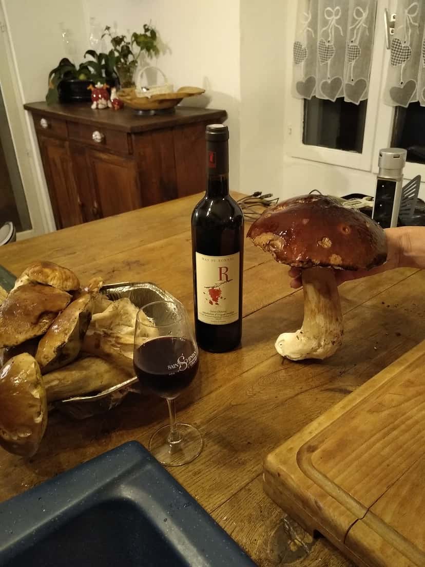 Weinprobe und Tour im Le Mas De Ronnel