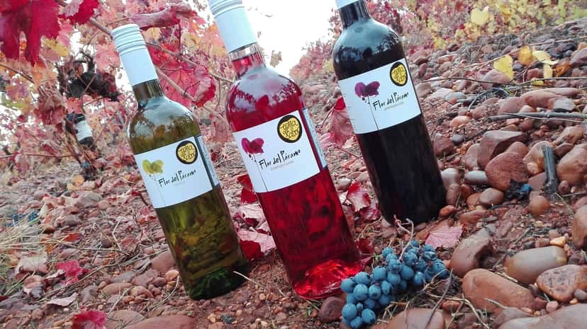 Castilla y León Wine Journey at Leyenda Del Páramo