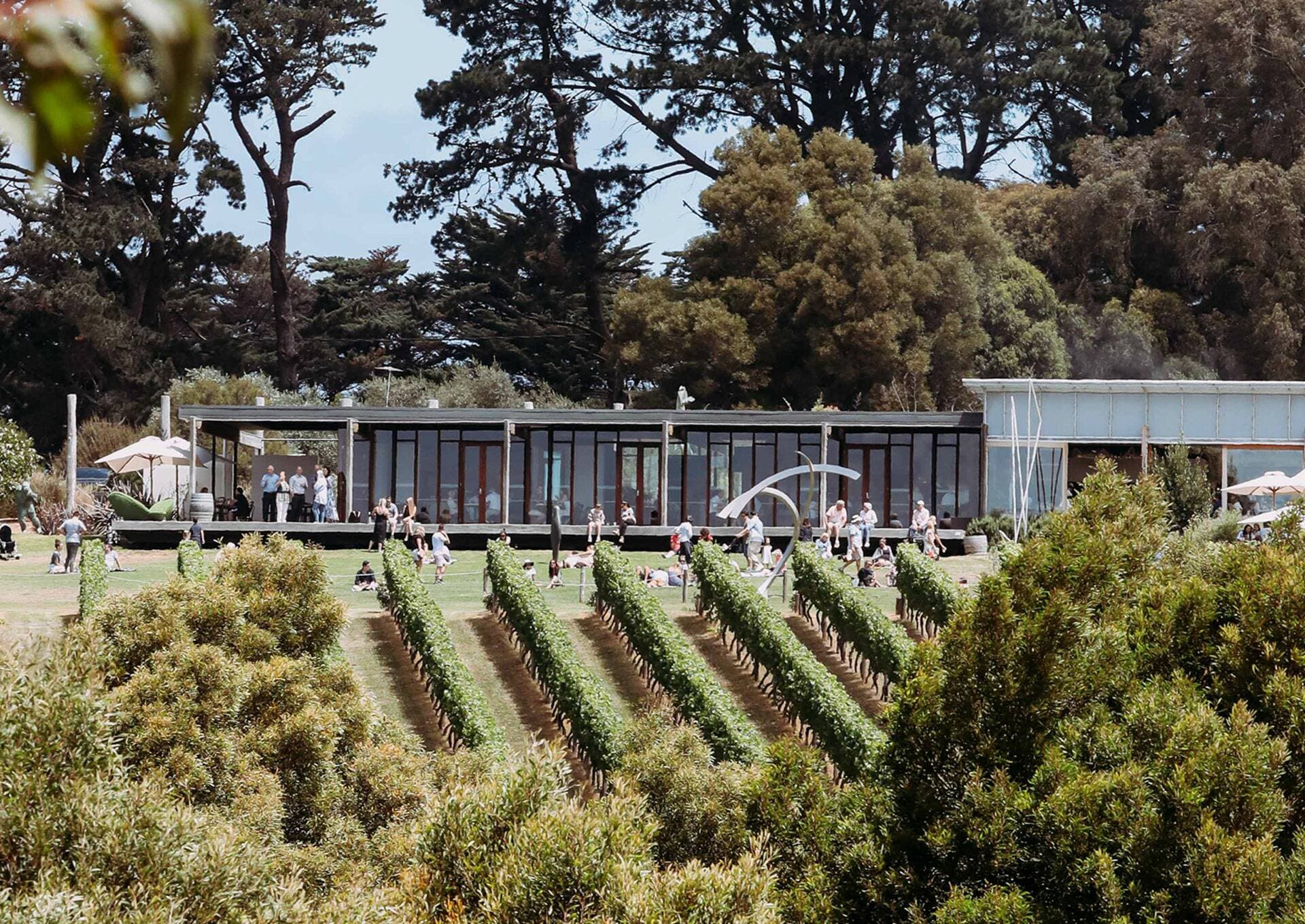 Montalto Winery Foto 2
