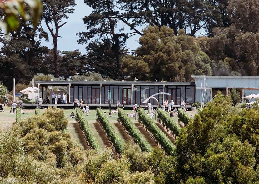 Montalto Winery
