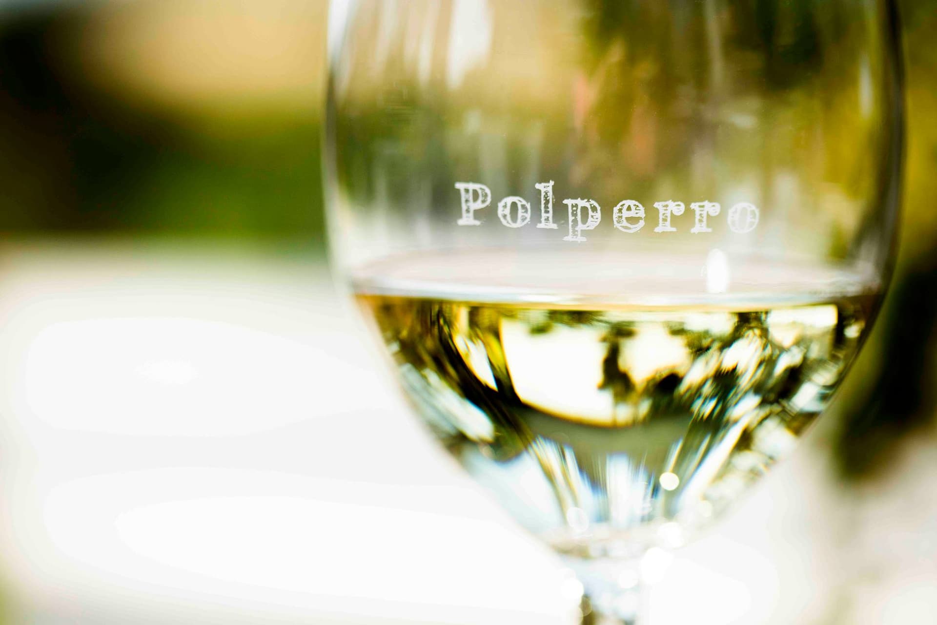 Weinprobe und Tour im Weingut Polperro