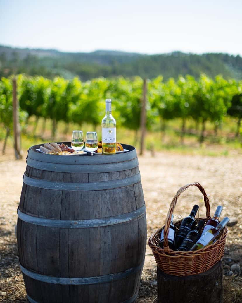 Terroir-Weinprobe in der Quinta Vale do Armo
