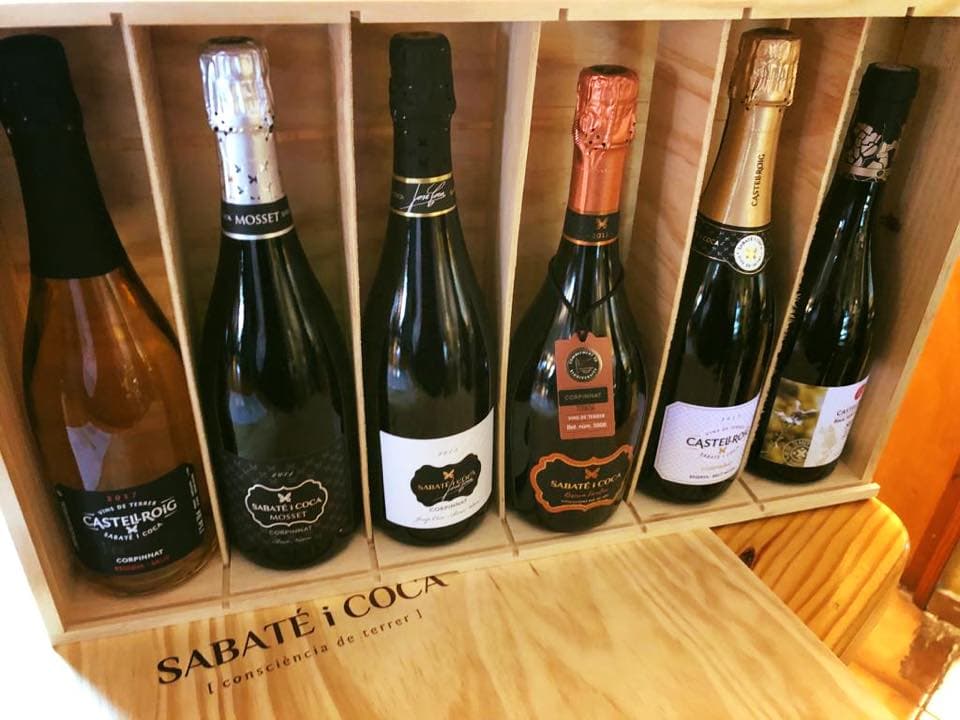 Degustazione di vini e visita essenziale a Sabaté I Coca