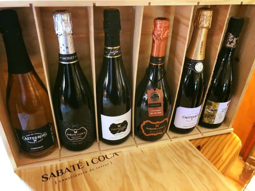 Weinprobe und Pflichtbesuch bei Sabaté I Coca