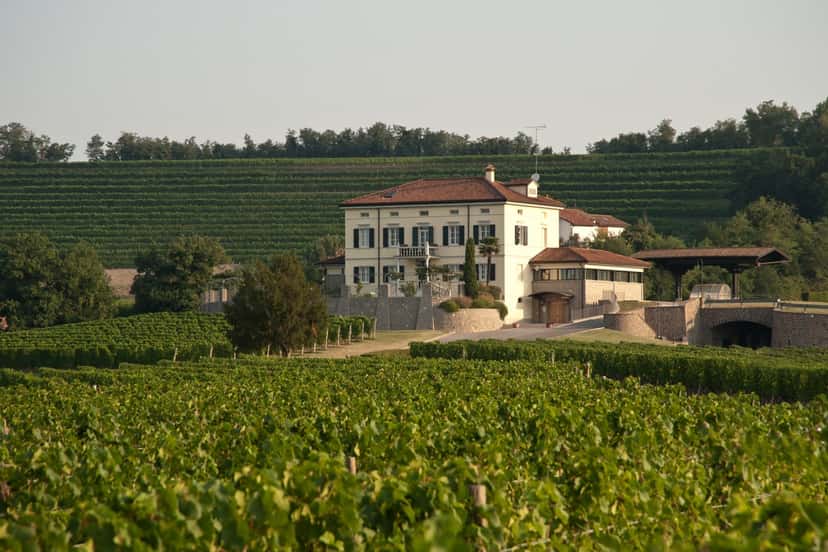 Schiopetto Winery