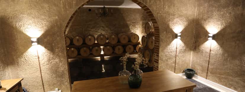 Alentejo Rare Vintages & Vineyard Tour at Sovibor