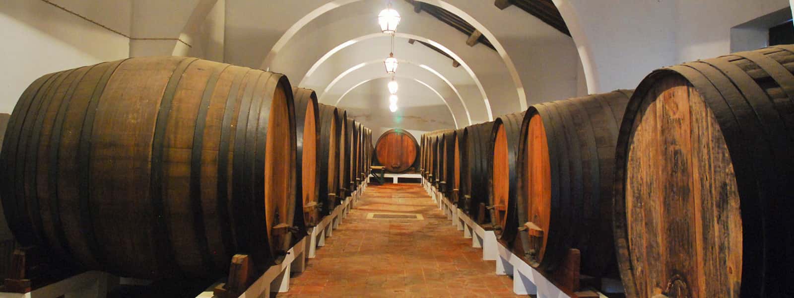 Prova de Vinhos na Sovibor - Sociedade De Vinhos De Borba