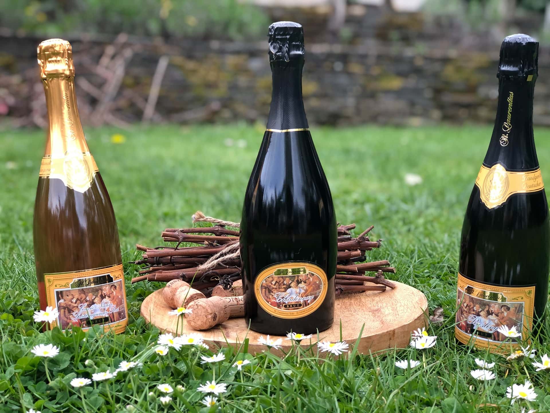 Dégustation et visite de vins chez St. Laurentius Sekt Gmbh