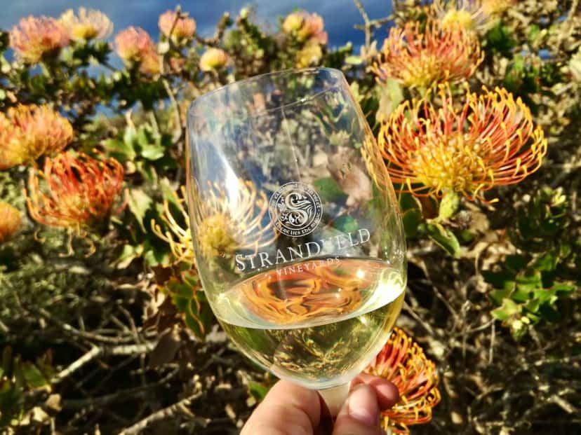 Cape South Coast Wine Escape at Strandveld