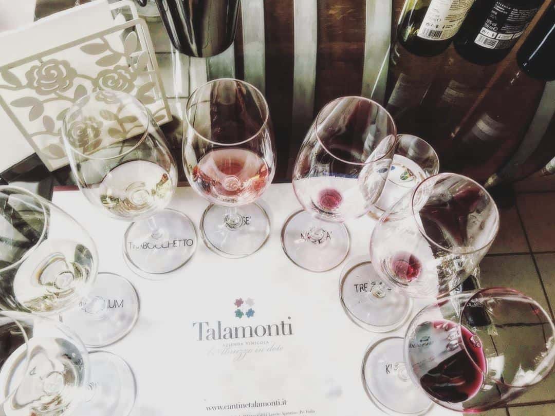 Degustação de vinhos e tour na Tenuta Talamonti