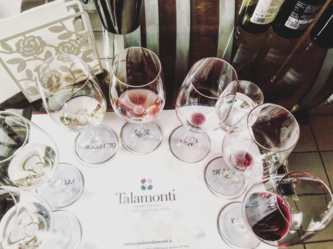 Degustação de vinhos e tour na Tenuta Talamonti