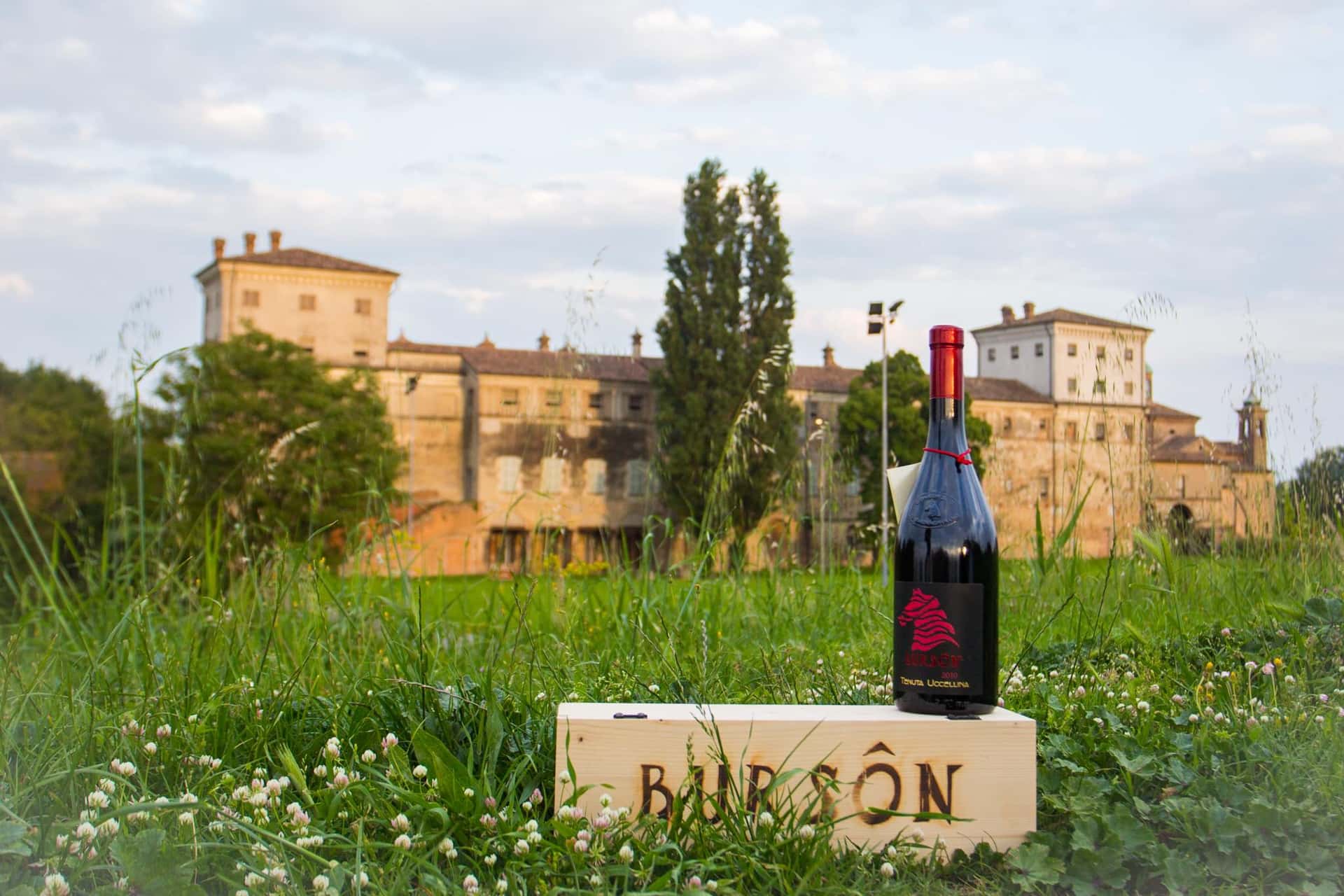 Dégustation de vins haut de gamme à la Tenuta Uccellina