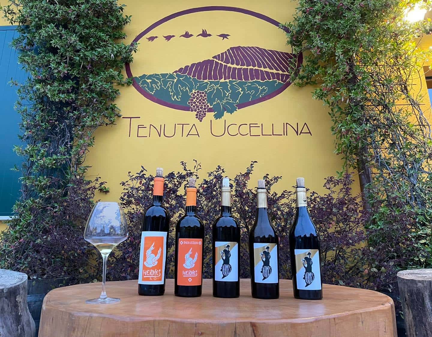 Emilia-Romagna Wine Tales: Tenuta Uccellina Tasting