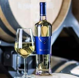 Degustação de vinhos e tour na vinícola Bargiela Bienati