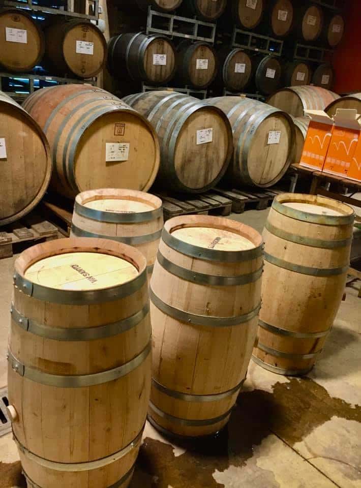 Experience Valdonica Winery