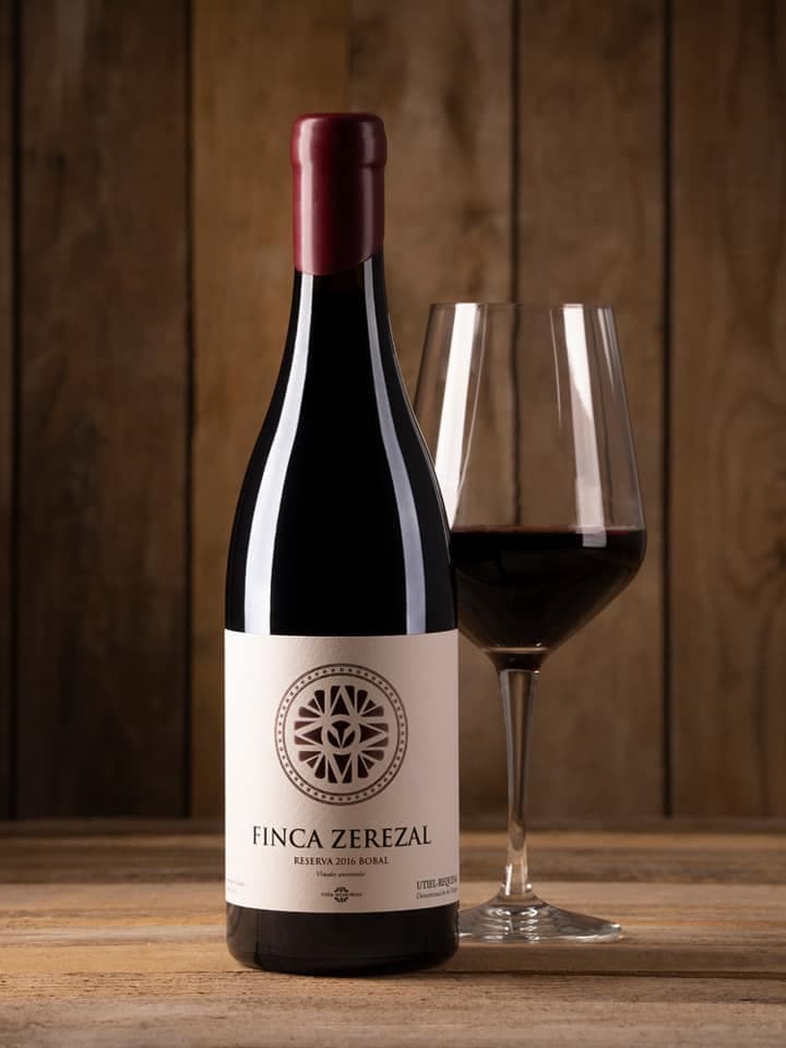 Degustação de vinhos e tour na vinícola Viña Memorias